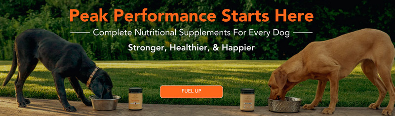 Alpha Dog Nutrition Promo Codes